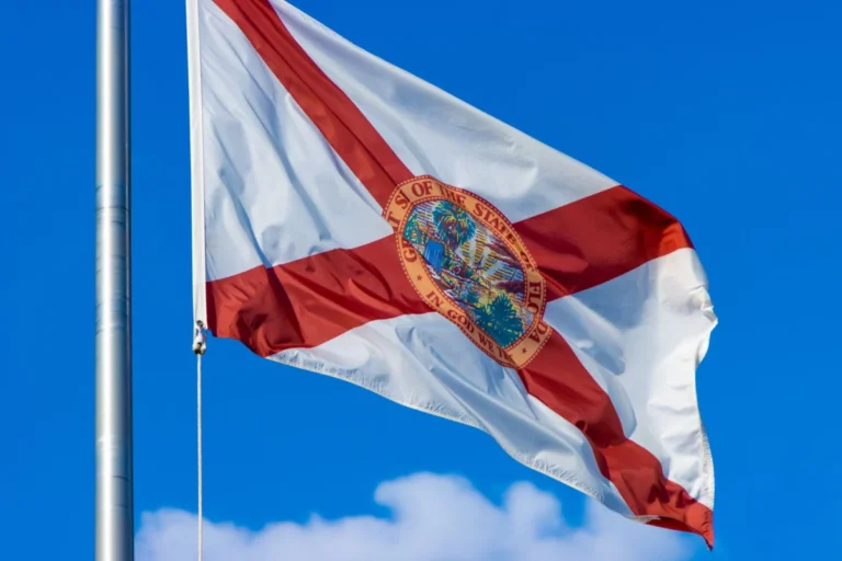 The High Cost of Lower Taxes: Florida’s Impending Ballot Initiative and the Future of State Funding