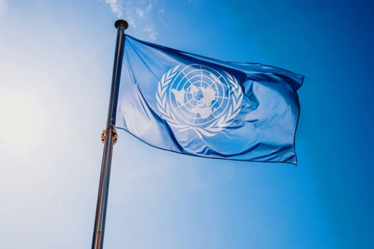 The UN’s High-Stakes Tax Gamble: Why Europe is Pivoting to a New Global Arena