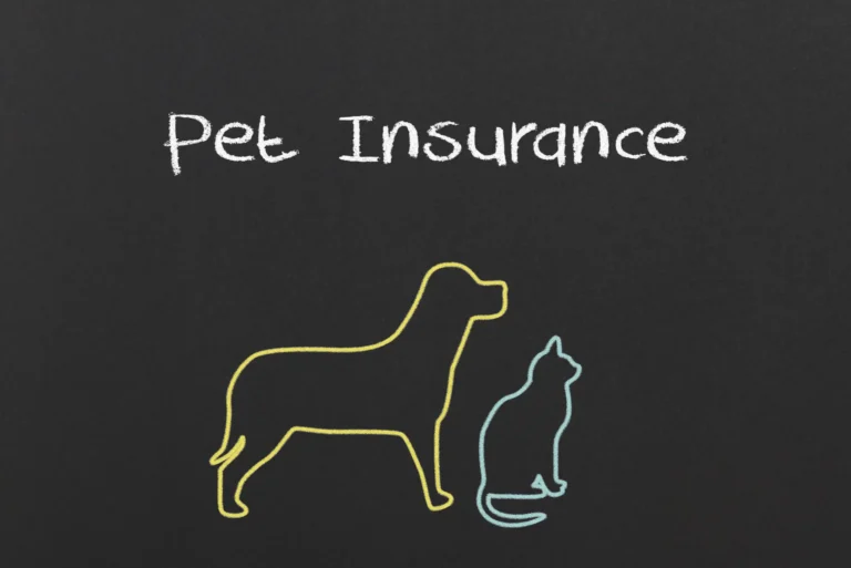 The Complete Guide to Pet Health Insurance: Securing Your Companion’s Future