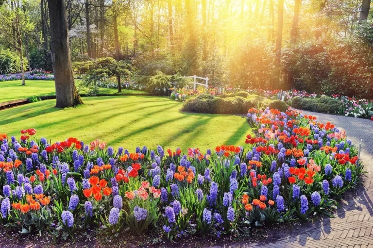 The Price of Curb Appeal: Should You Finance Your Landscaping Dreams?