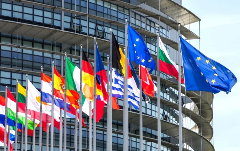The Transparency Trap: How New EU Reporting Rules May Distort the Global Tax Landscape